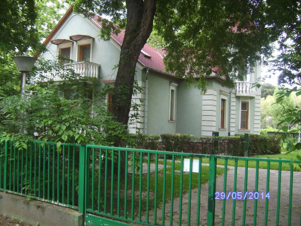 Szemesi Villa Балатонсарсо Экстерьер фото